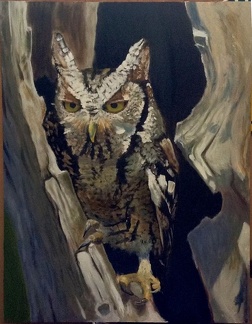 owl crop